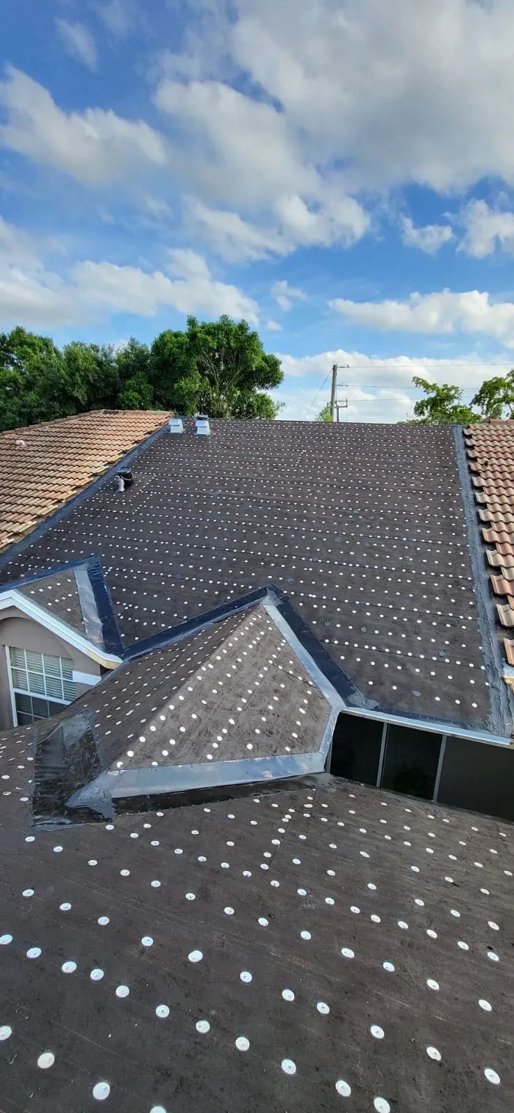 A roof with a lot of white dots on it and a blue sky in the background.