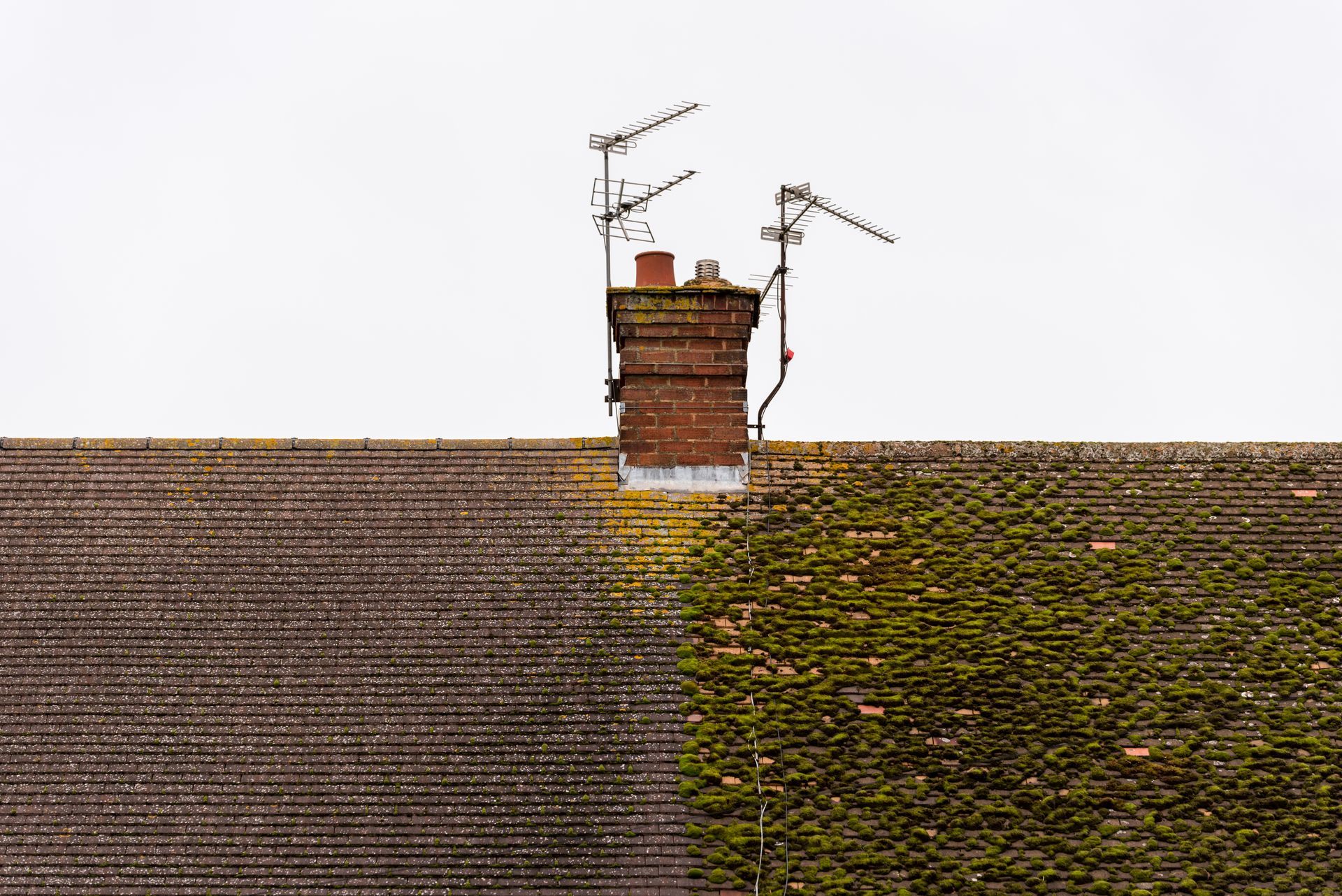  A roof half covered in moss