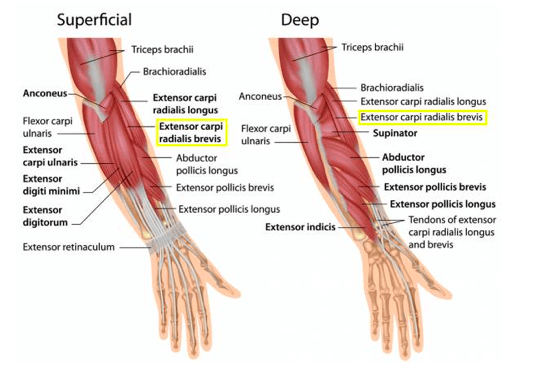bol u prednjem dijelu koljena prikrivena bol u koljenu