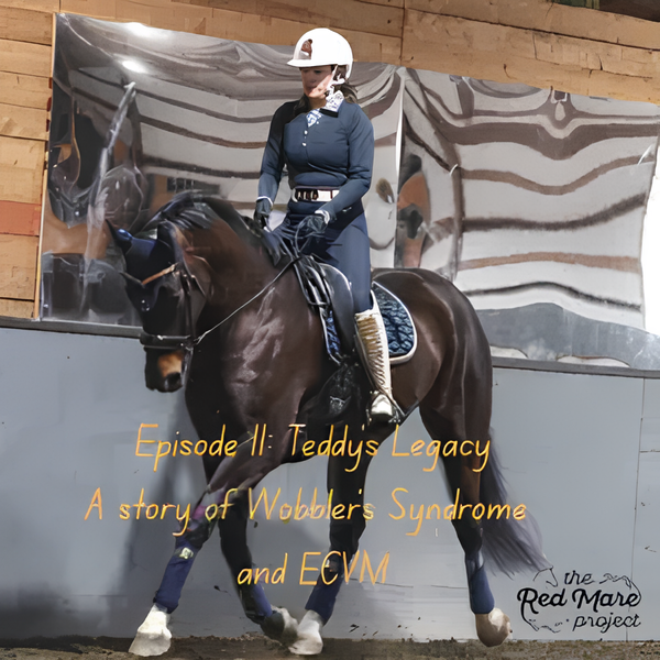 Woman riding a dark horse in an arena, with text: