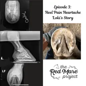 Collage of horse hoof X-rays and an injured hoof; text reads “Episode 3: Heel Pain Heartache Loki’s Story” and “The Red Mare Project”