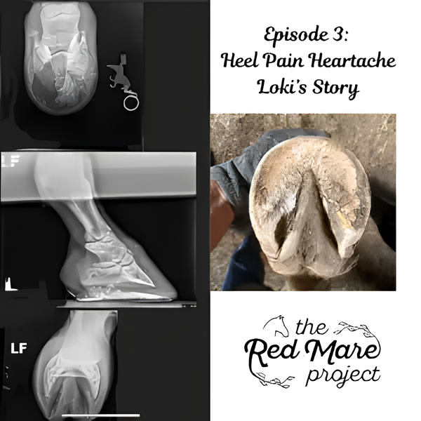 Collage of horse hoof X-rays and an injured hoof; text reads “Episode 3: Heel Pain Heartache Loki’s Story” and “The Red Mare Project”