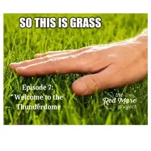 Hand on green grass with text: “So this is grass. Episode 7: Welcome to the Thunderdome.”