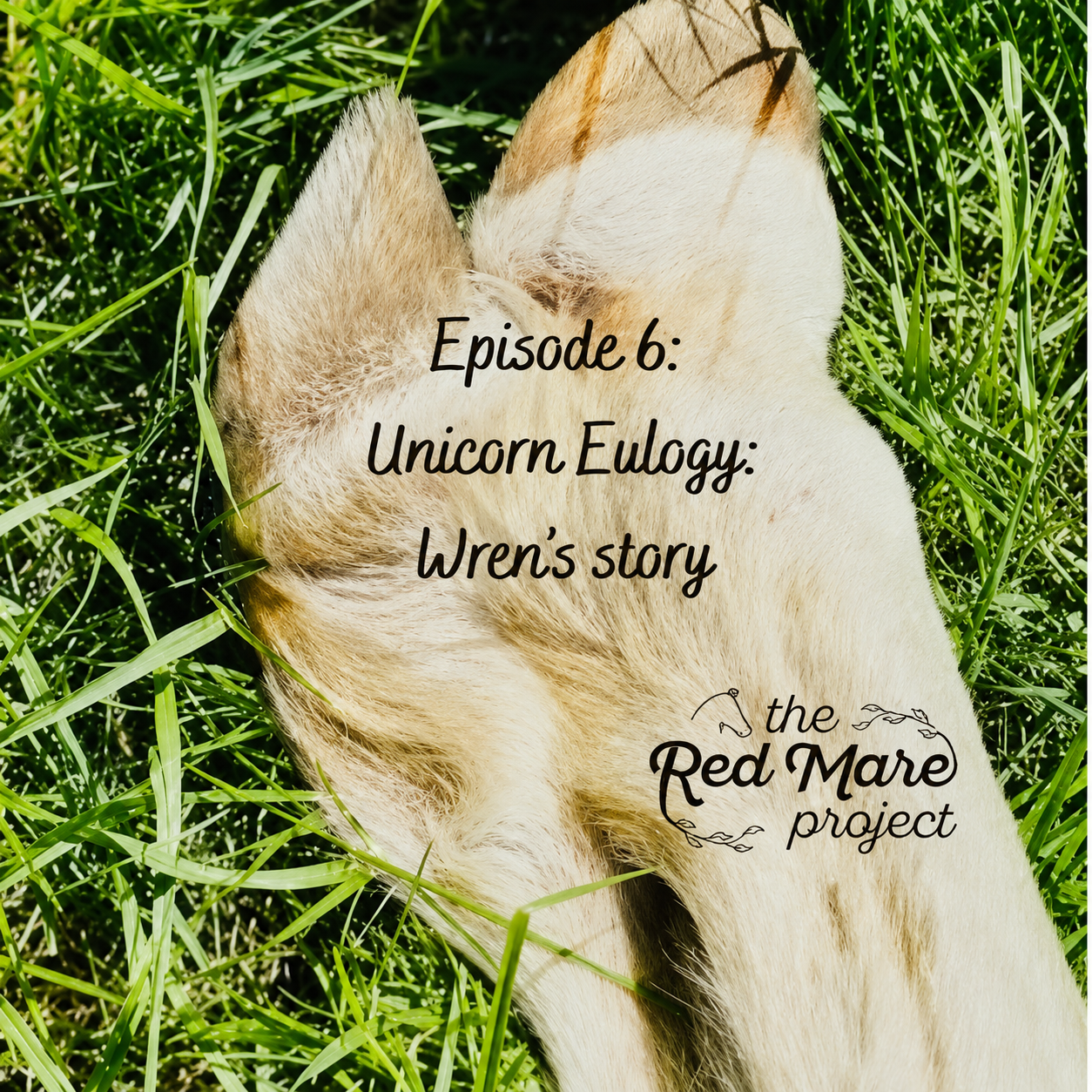 Cream-colored unicorn horn in grass with text: “Episode 6: Unicorn Eulogy: Wren’s story” and Red Mare Project logo