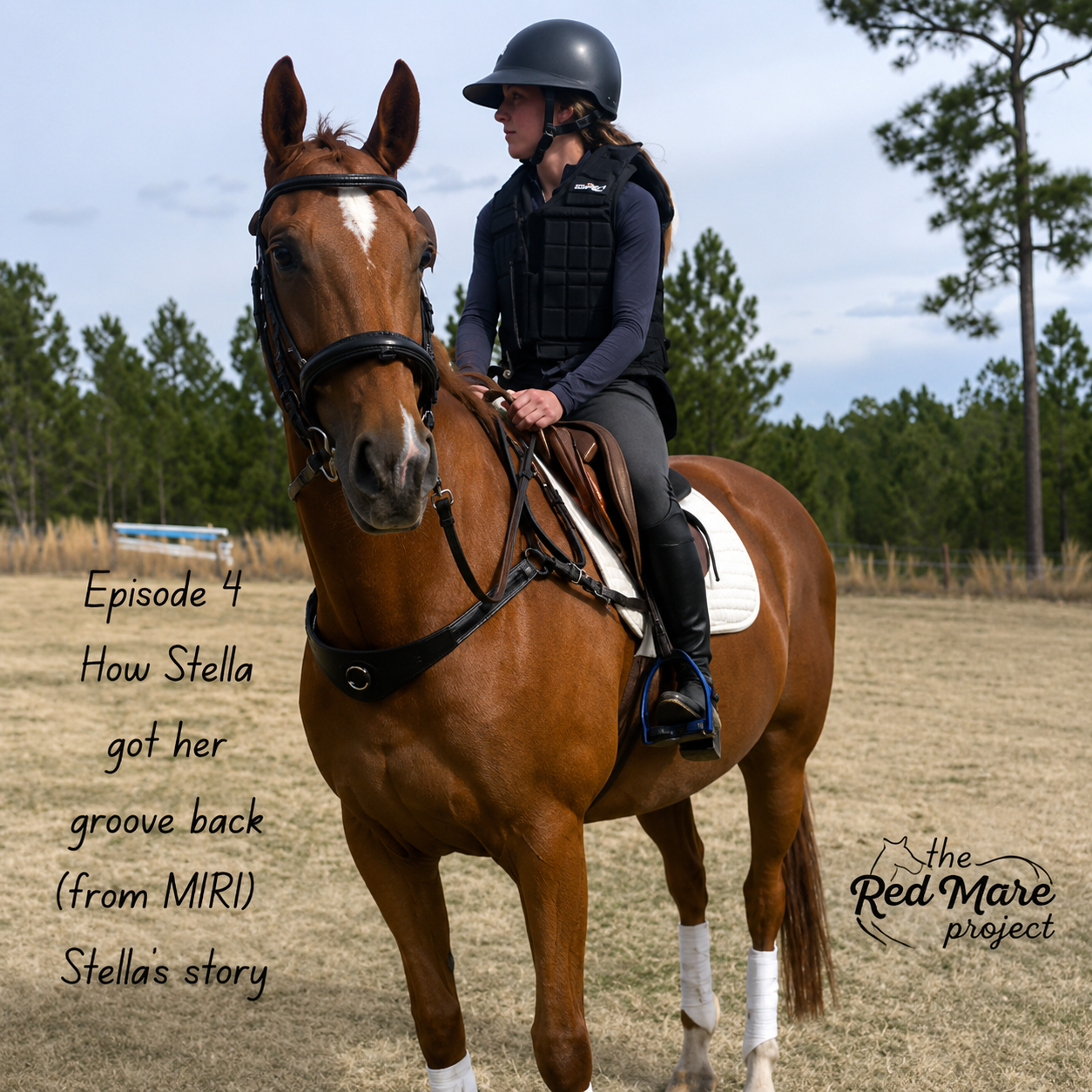 Girl on a brown horse wearing a helmet in a grassy field, with text about Stella's story.