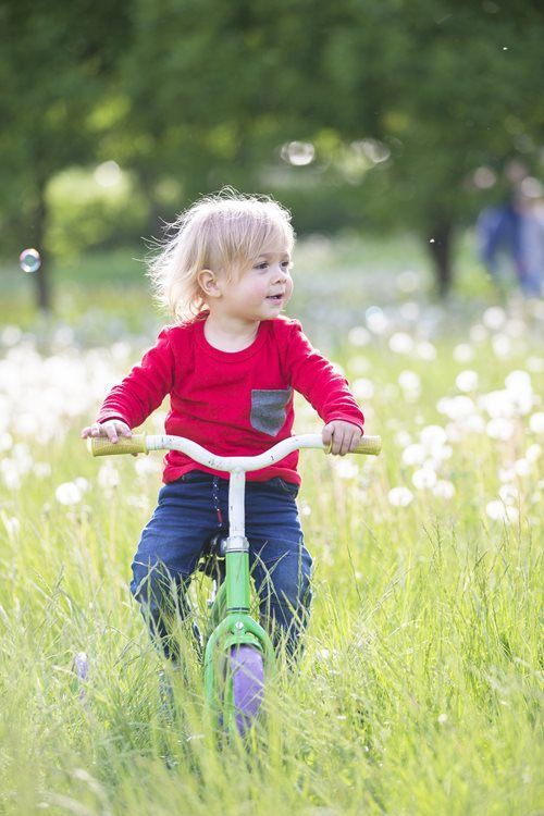 A young child with blonde hair wearing a red shirt rides a small balance bike through a field of dandelions.