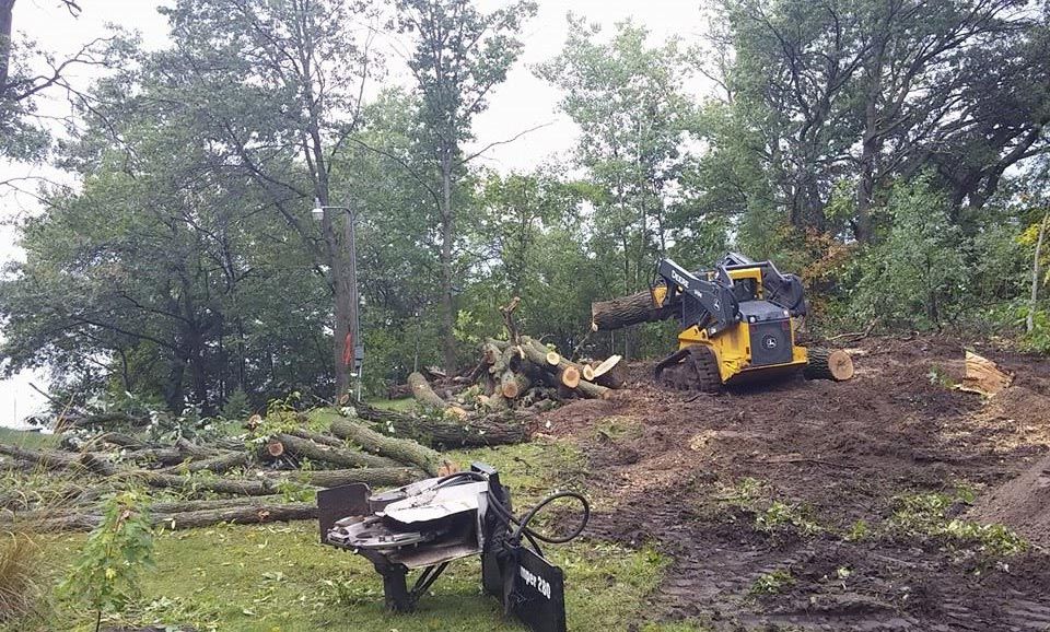 Property Clearing — Tractor Removing a Tree in Minneapolis, MN