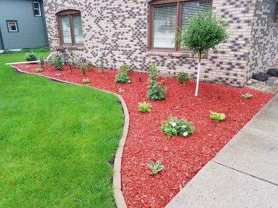 Landscaping — Lawn with Beautiful Landscaping in Minneapolis, MN