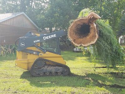 Land Cleaning — Tractor Removing a Tree in Minneapolis, MN