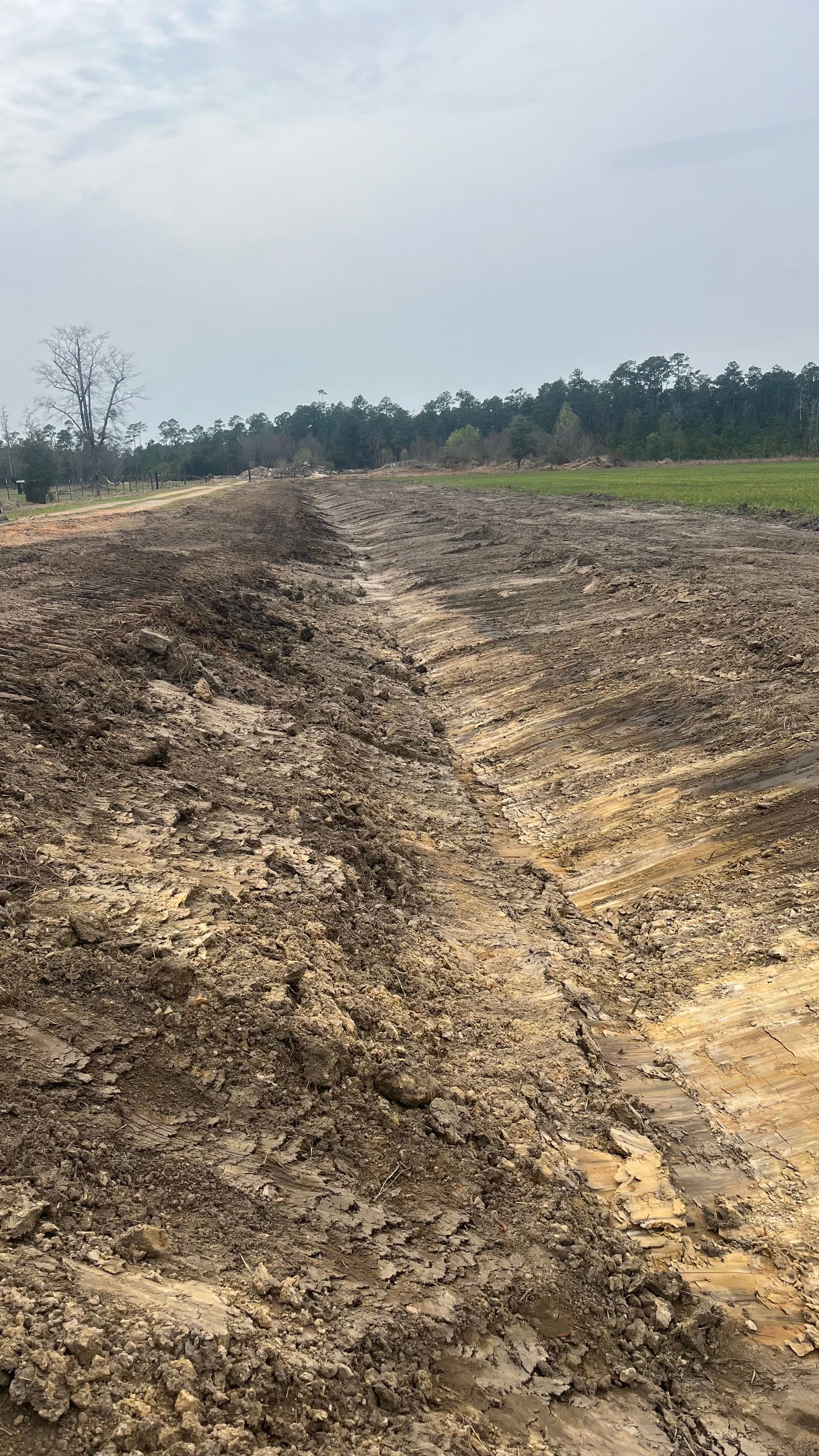 Rutted dirt road through a rural field under a pale sky, with trees in the distance