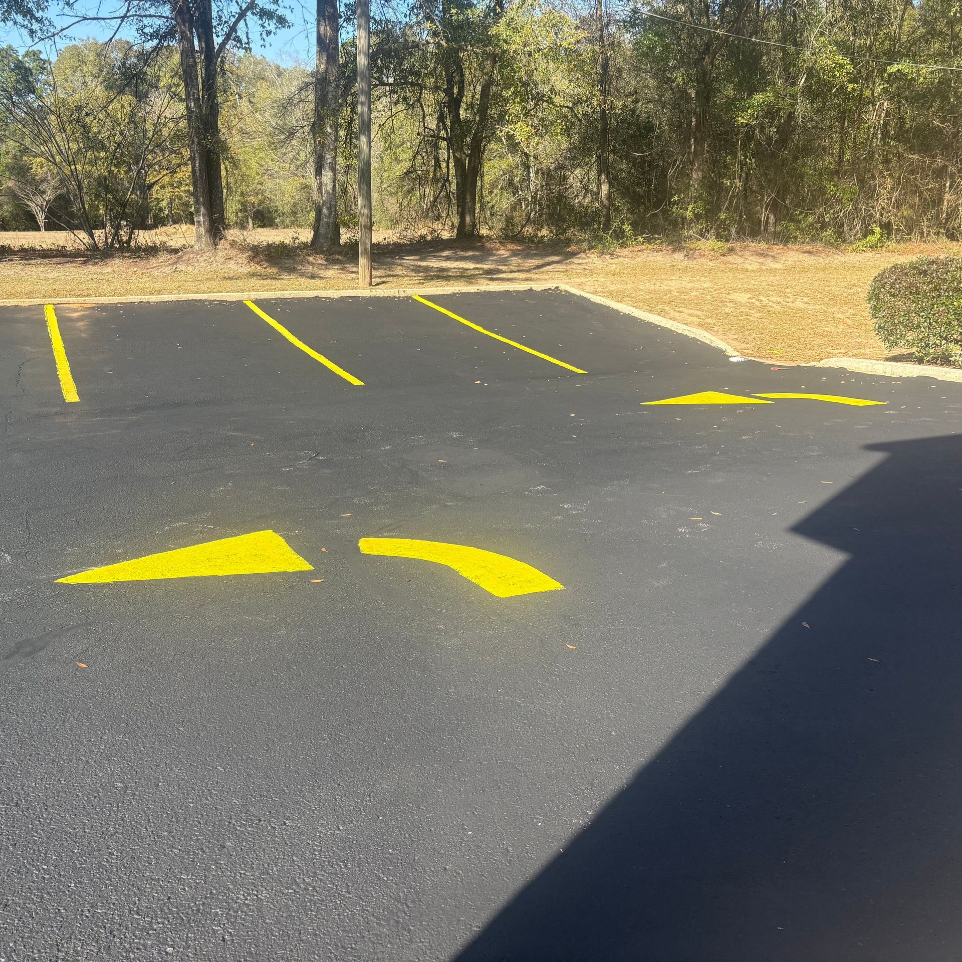 Empty asphalt parking lot with bright yellow painted markings and trees in the background