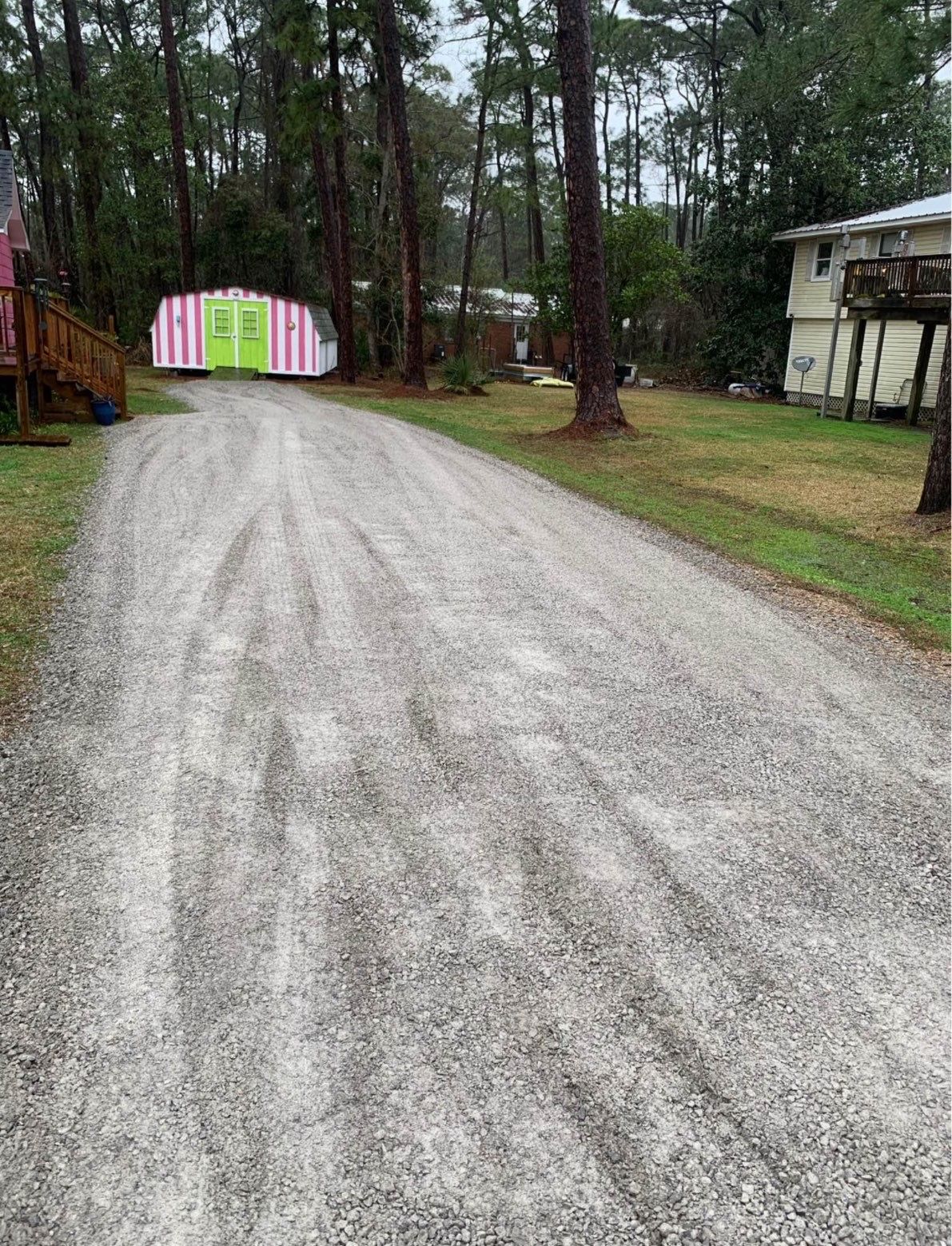 Gravel driveway leading to a pink-and-green shed among tall trees on a cloudy day