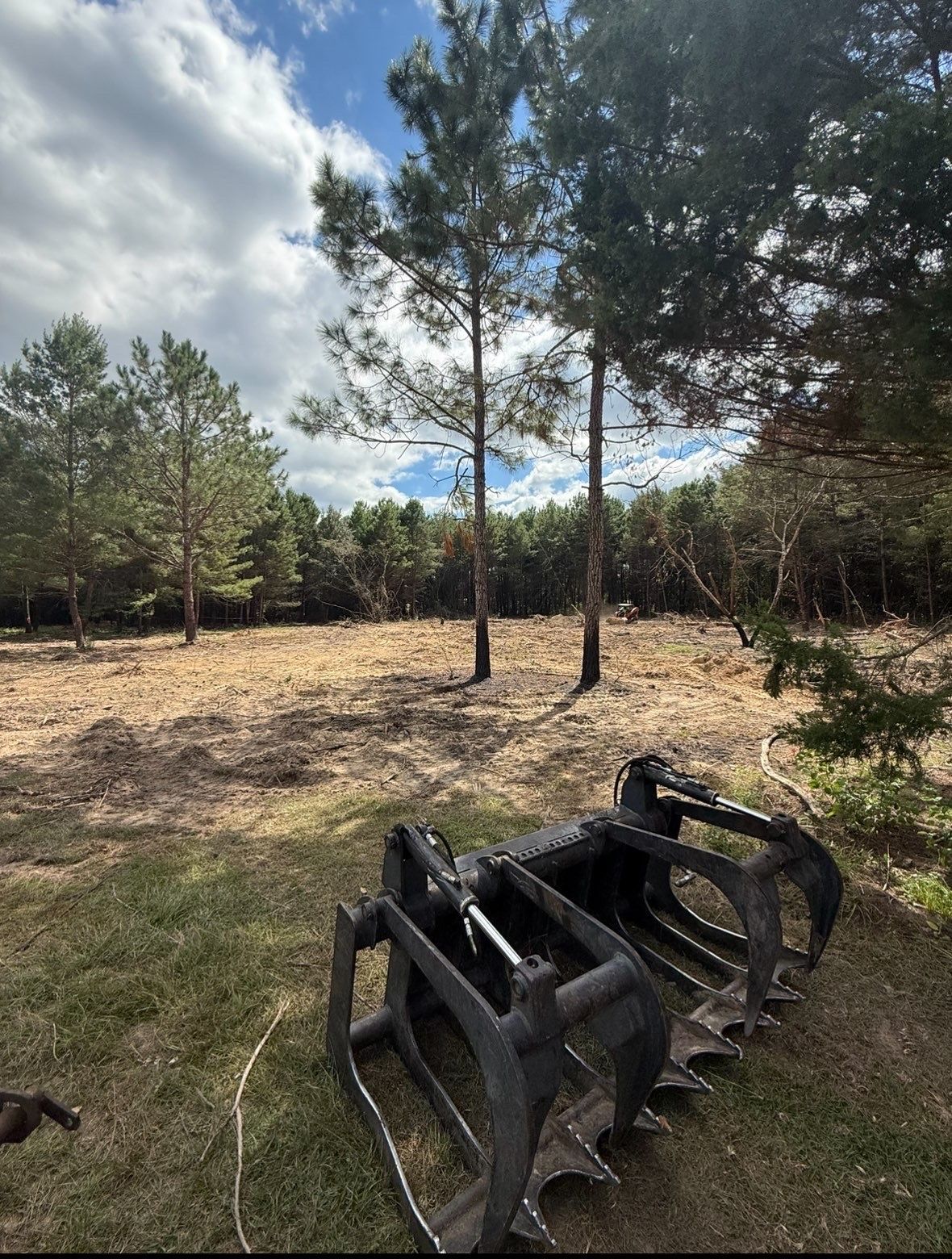 Rural clearing with pine trees and a black excavator bucket in the foreground under a partly cloudy sky