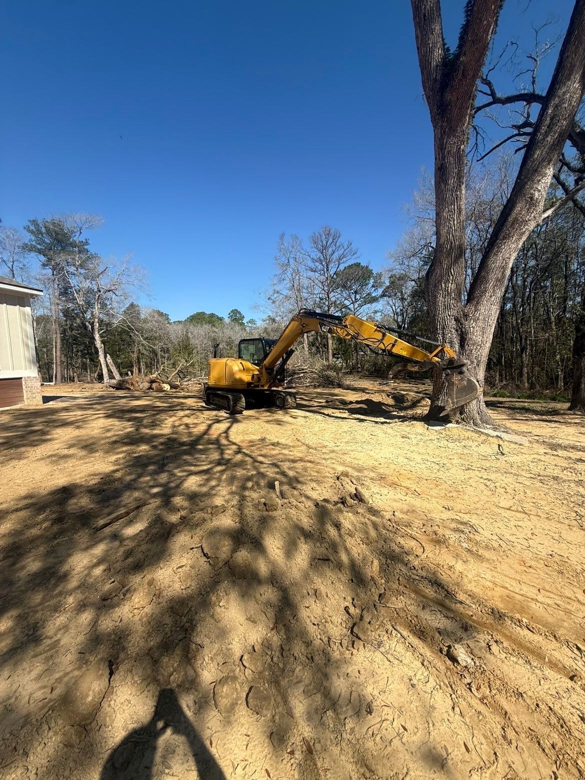 Yellow excavator clearing dirt beside trees in a sunny yard under a blue sky