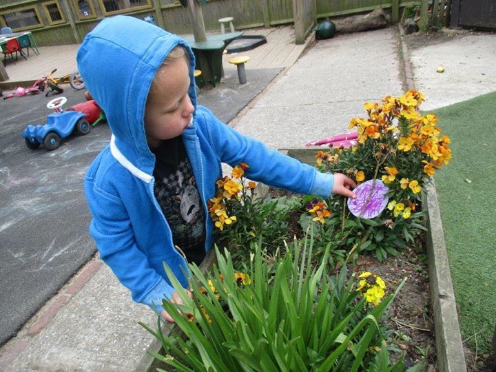 home farm nursery tenterden, tenterden home farm nursery