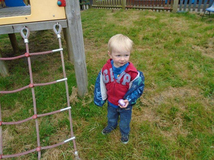 home farm nursery tenterden, tenterden home farm nursery