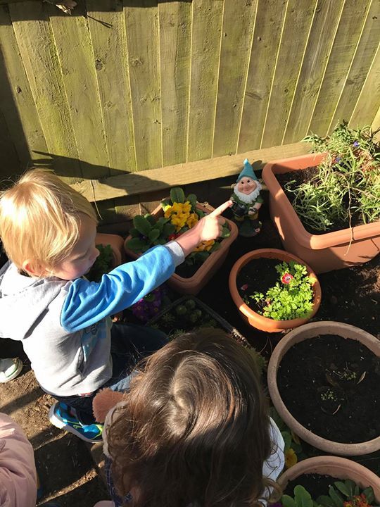 home farm nursery tenterden, tenterden home farm nursery