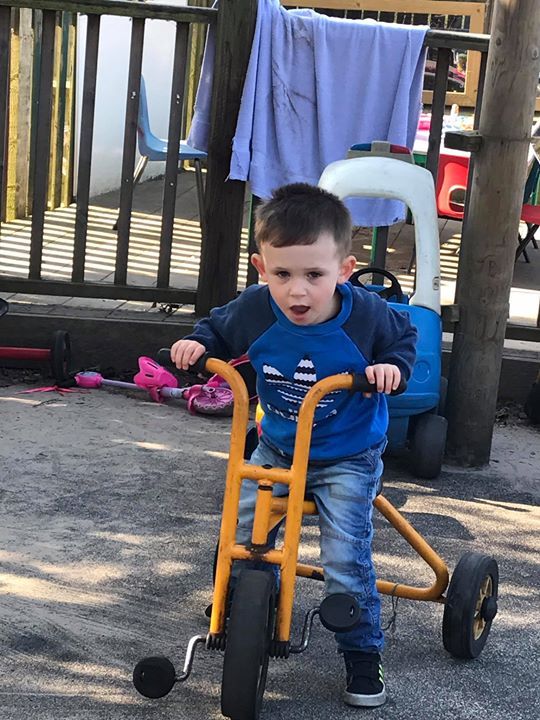 home farm nursery tenterden, tenterden home farm nursery