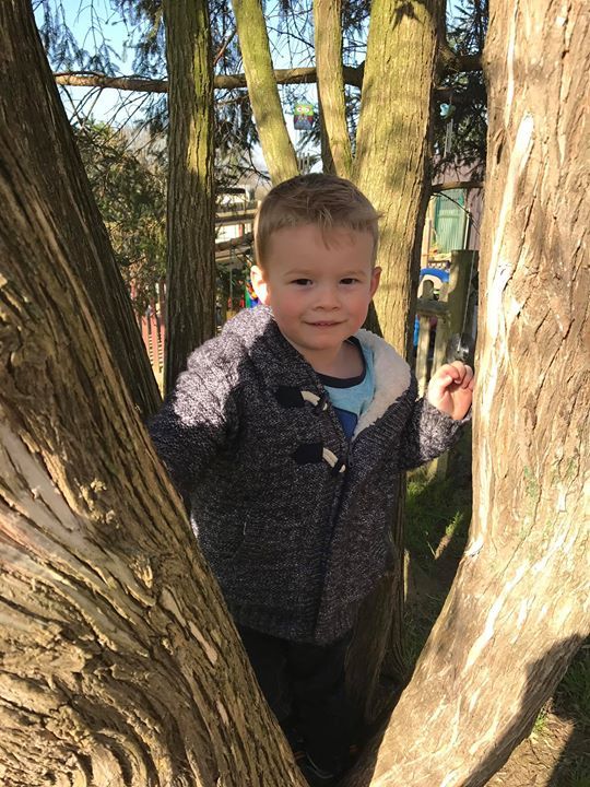 home farm nursery tenterden, tenterden home farm nursery