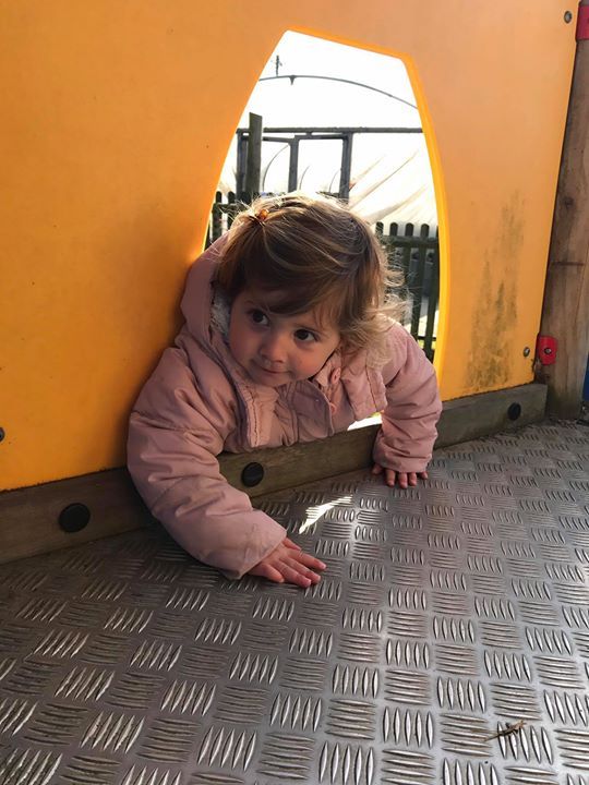 home farm nursery tenterden, tenterden home farm nursery