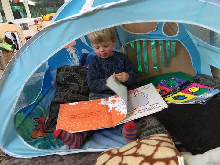 home farm nursery tenterden, tenterden home farm nursery