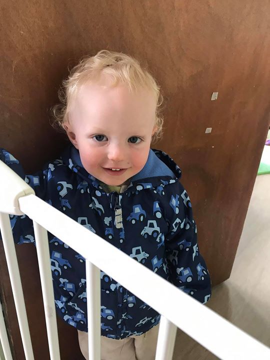 home farm nursery tenterden, tenterden home farm nursery