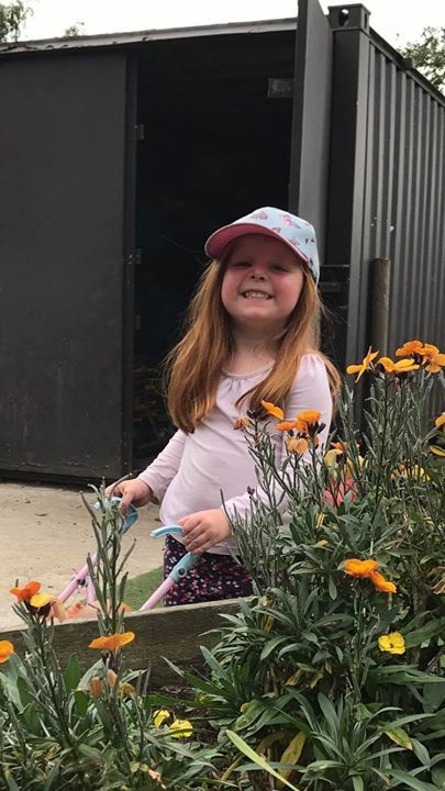 home farm nursery tenterden, tenterden home farm nursery