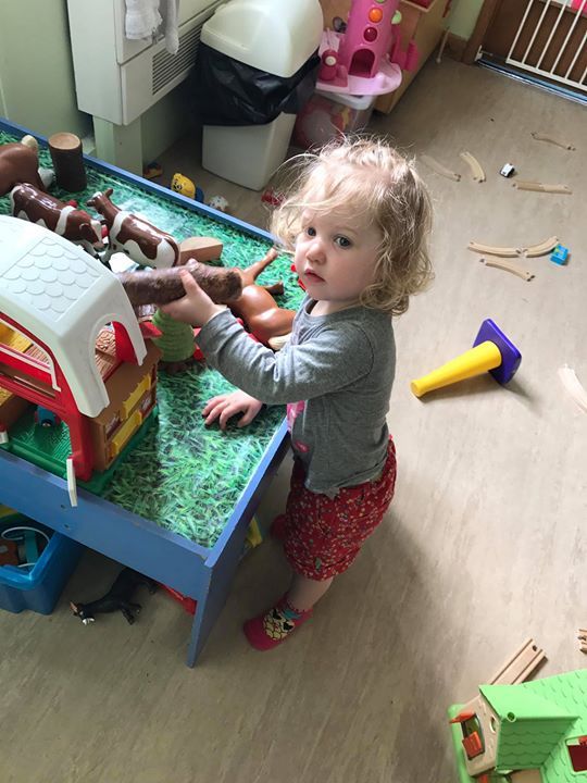 home farm nursery tenterden, tenterden home farm nursery