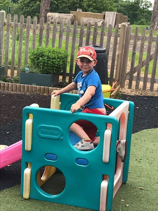 home farm nursery tenterden, tenterden home farm nursery