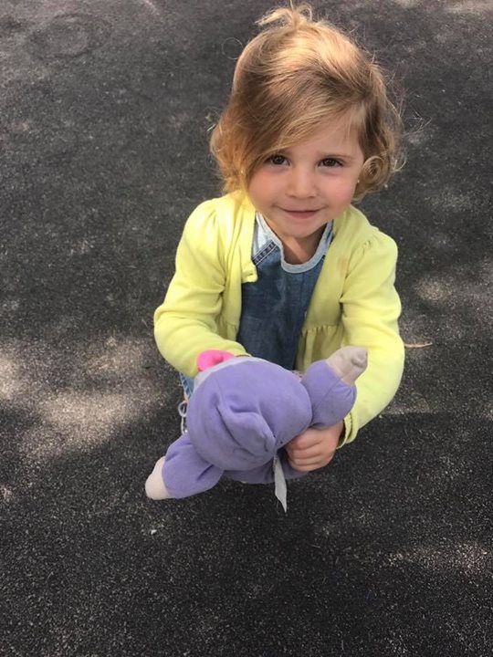 home farm nursery tenterden, tenterden home farm nursery