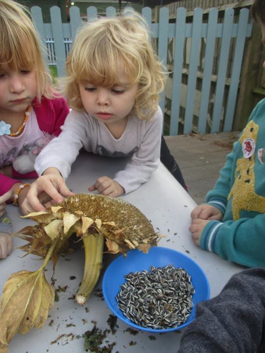 home farm nursery tenterden, tenterden home farm nursery