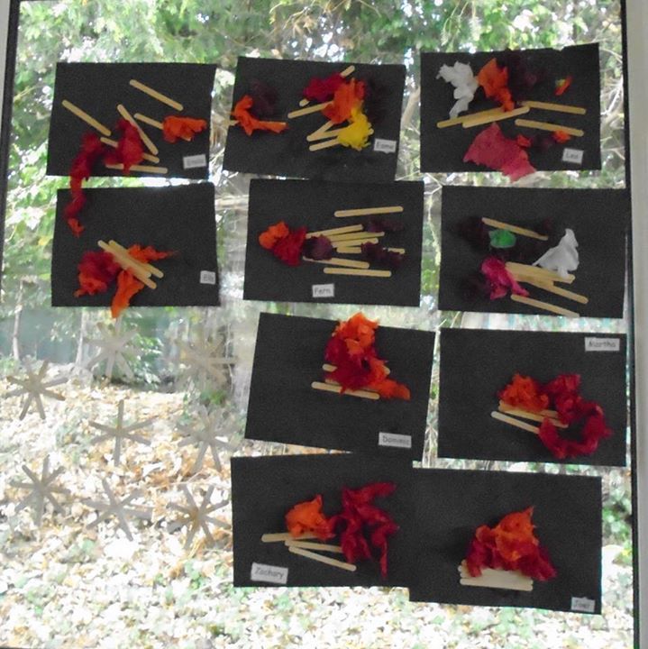 home farm nursery tenterden, tenterden home farm nursery