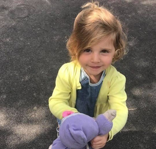 home farm nursery tenterden, tenterden home farm nursery