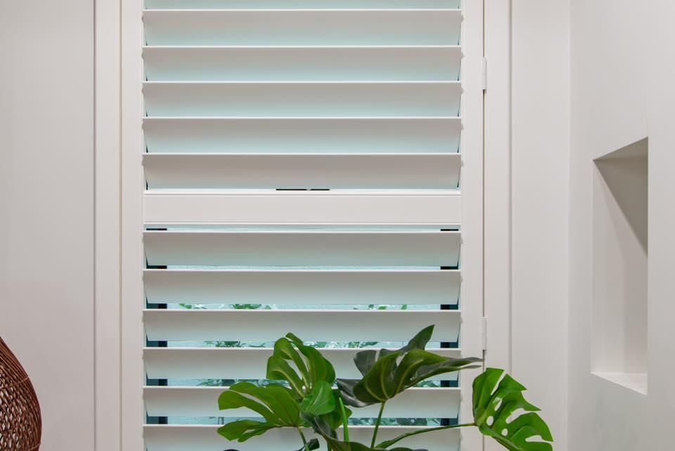 A Plant is Sitting in Front of a Window With White Shutters — Whitsunday Vogue Interiors in Cannonvale, QLD