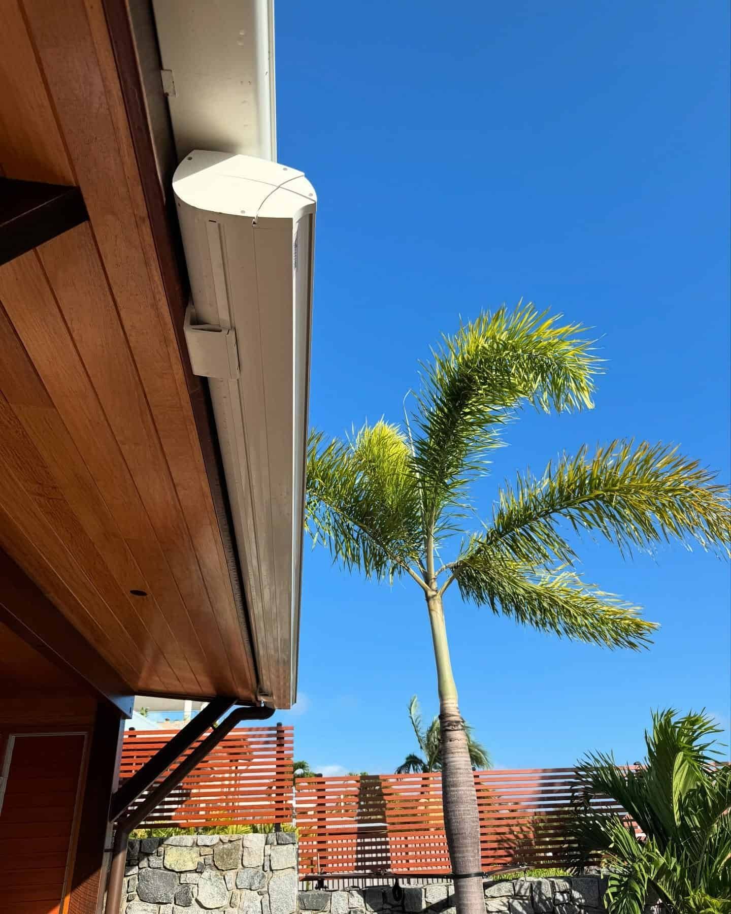 Wooden Home With White Gutter, Palm Tree Against a Blue Sky — Whitsunday Vogue Interiors in Cannonvale, QLD