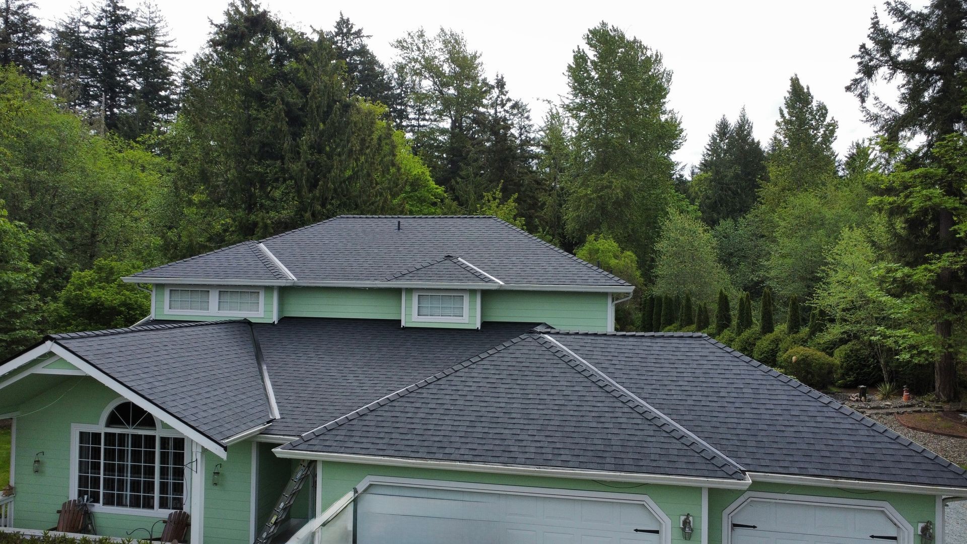 A green house with a black roof is surrounded by trees