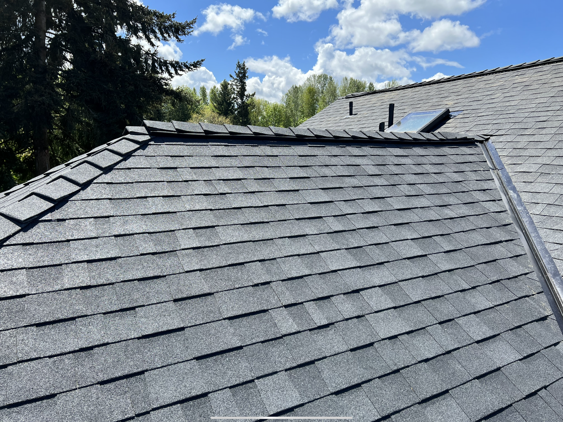 A close up of a roof with a skylight and trees in the background.