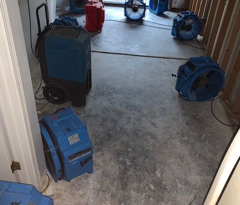 A room with a lot of fans on the floor.