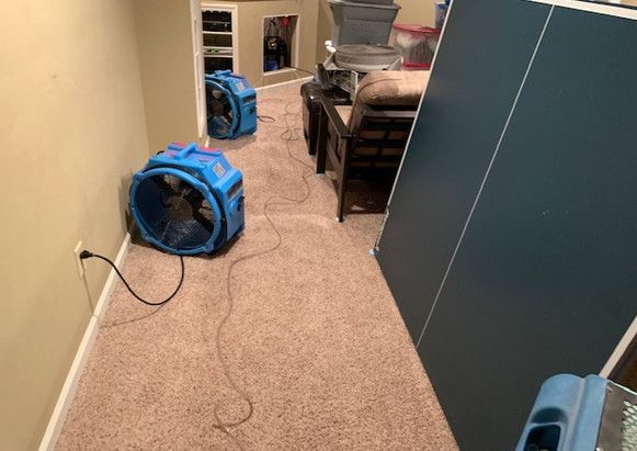 A room with a carpeted floor and a blue fan on the floor.