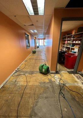 A green vacuum cleaner is sitting on the floor of a hallway.