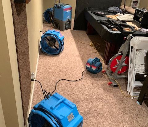 A bunch of blue fans are sitting on the floor in a room.