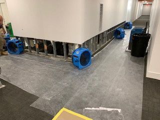A hallway with a bunch of blue fans on the floor.