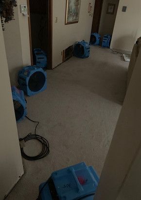 A hallway with a lot of blue boxes on the floor.
