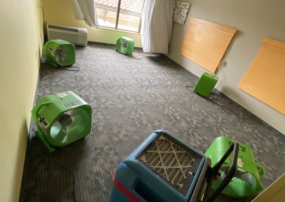 A room with a lot of green fans on the floor.