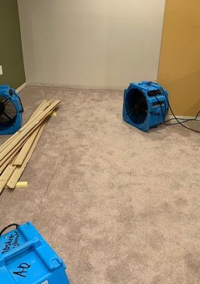 Two blue fans are sitting on a carpeted floor in a room.