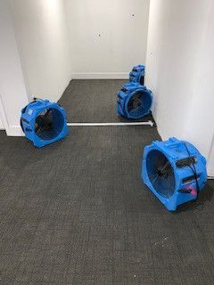 Three blue fans are sitting on the floor of a room.