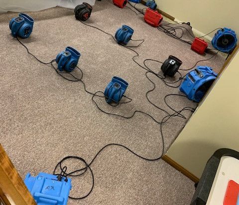 A bunch of blue fans are sitting on a carpet in a room.