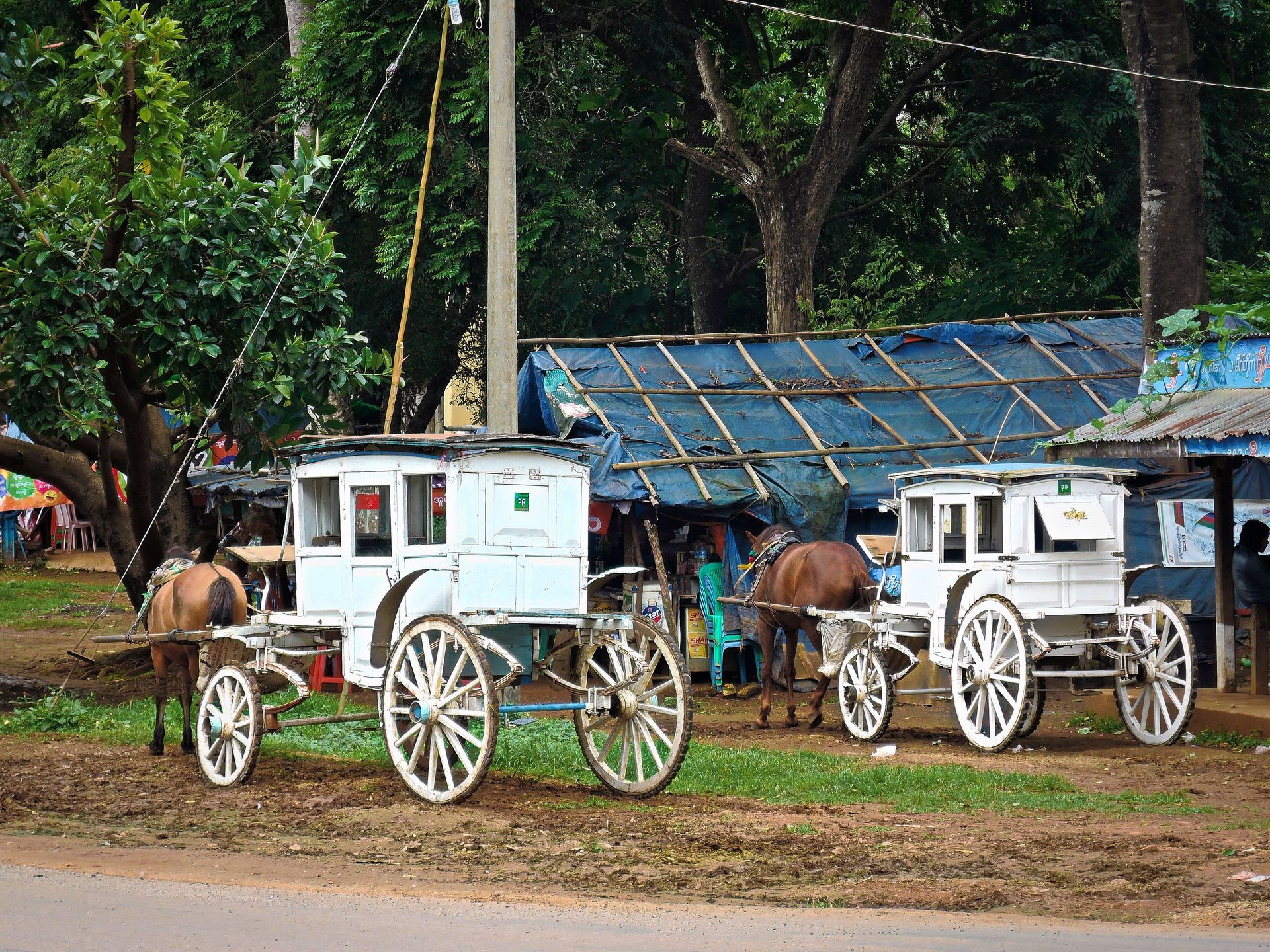 Botanischer Garten Pyin Oo Lwin