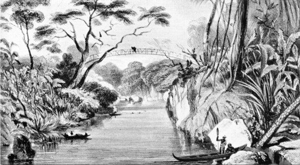 Hängebrücke der Dayak