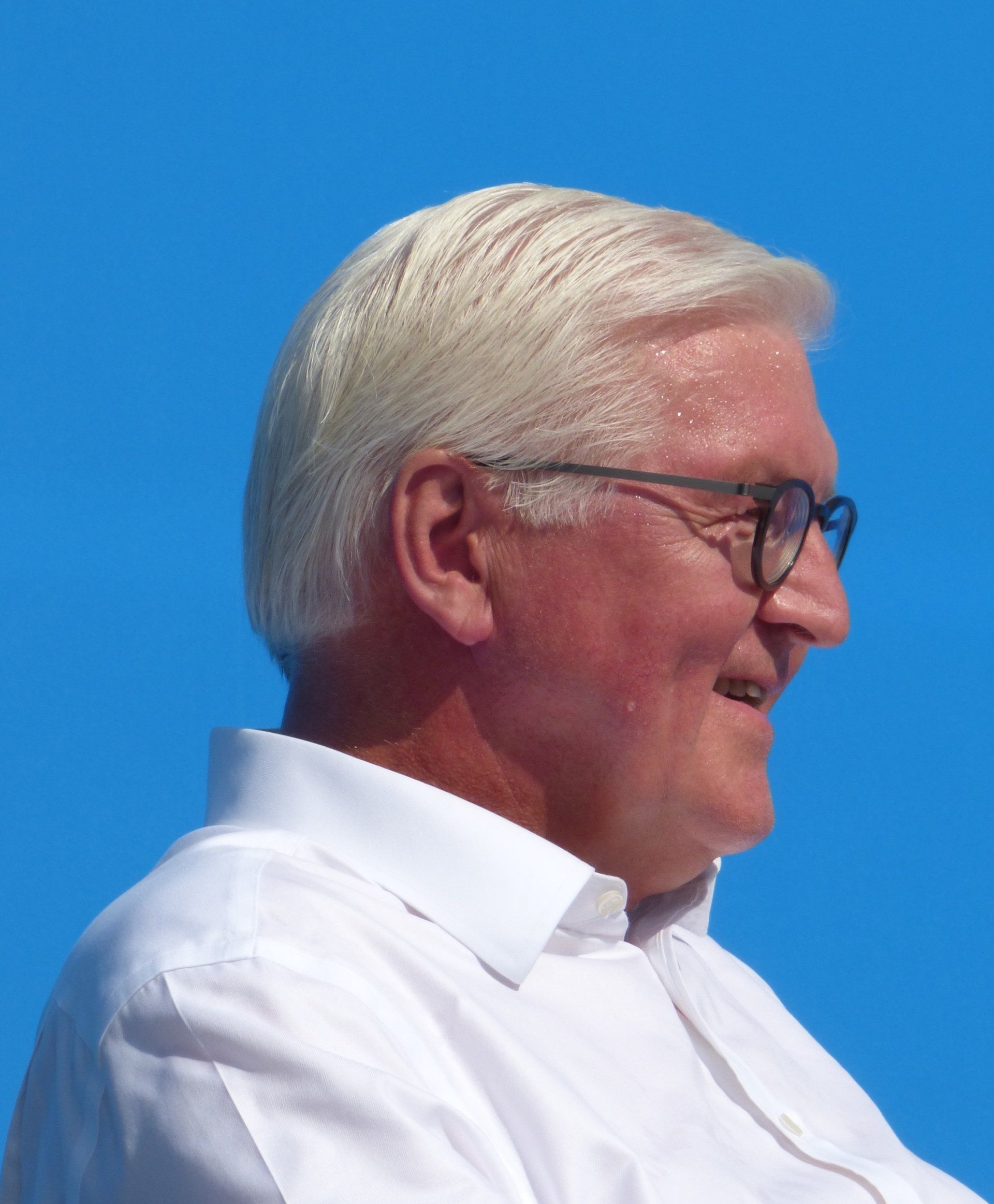 Frank Walter Steinmeier